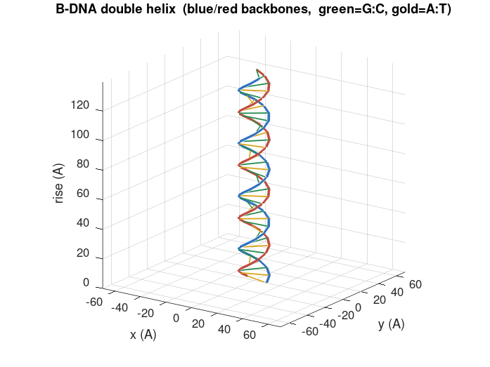 DNA helix plot